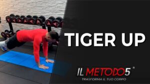 Stabilizzazione prona tiger up | Variante Plank